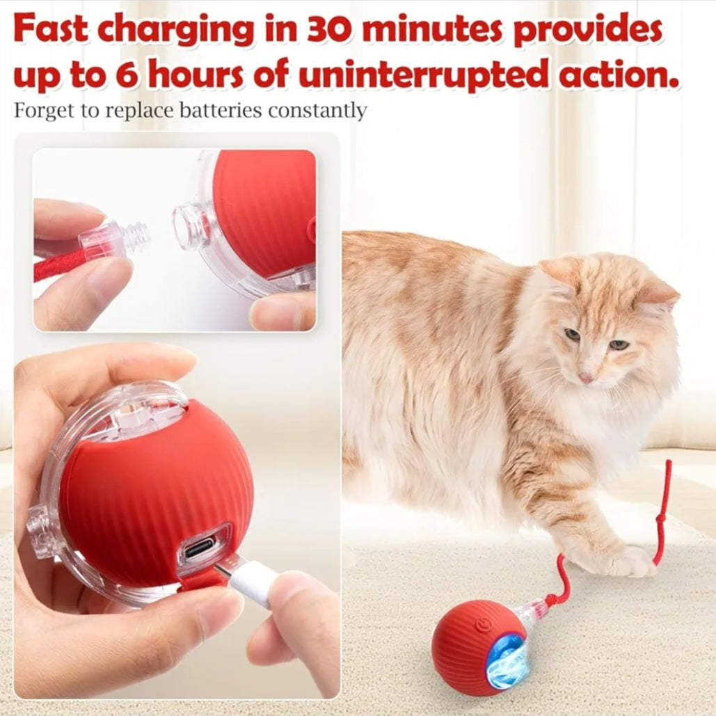 Talking Dog Club Automatic Rotating Interactive LED Ball for Cats, Kittens and Puppies