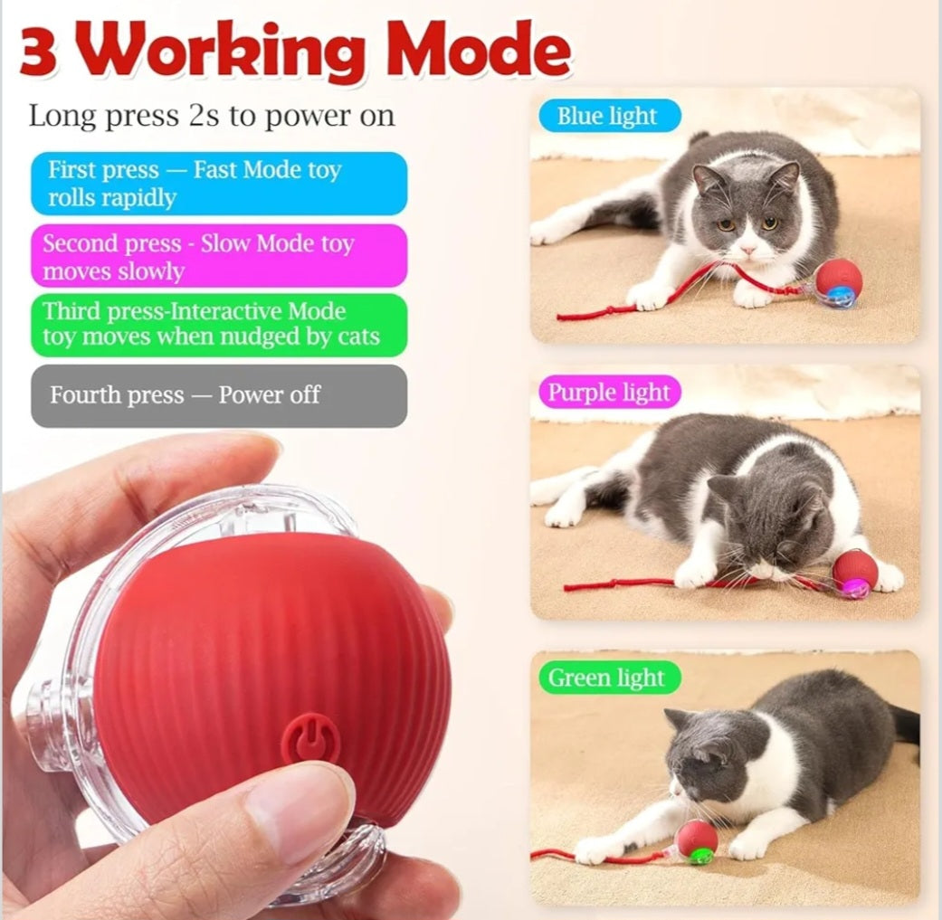 Talking Dog Club Automatic Rotating Interactive LED Ball for Cats, Kittens and Puppies