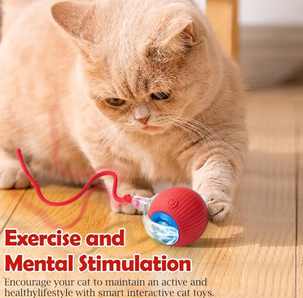 Talking Dog Club Automatic Rotating Interactive LED Ball for Cats, Kittens and Puppies