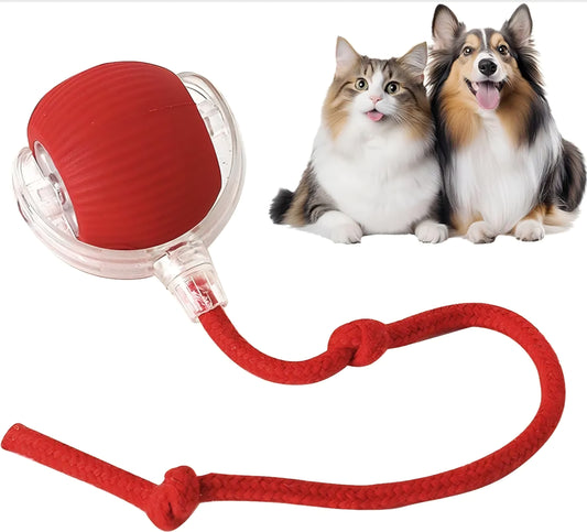 Talking Dog Club Automatic Rotating Interactive LED Ball for Cats, Kittens and Puppies