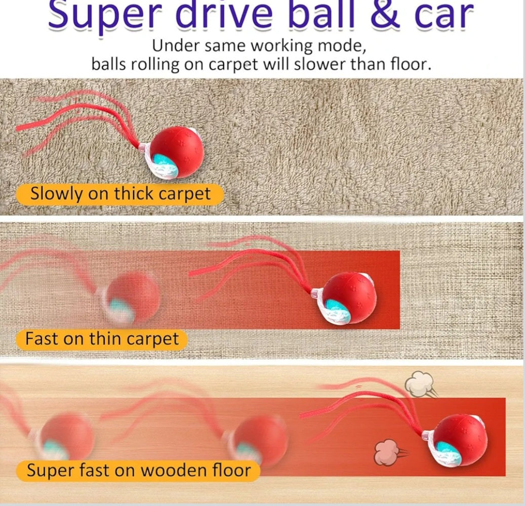 Talking Dog Club Automatic Rotating Interactive LED Ball for Cats, Kittens and Puppies